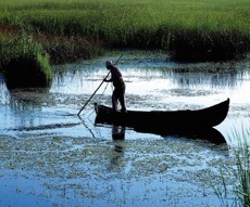 Visit the Danube Delta